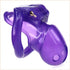 HTV Purple Cock Cage